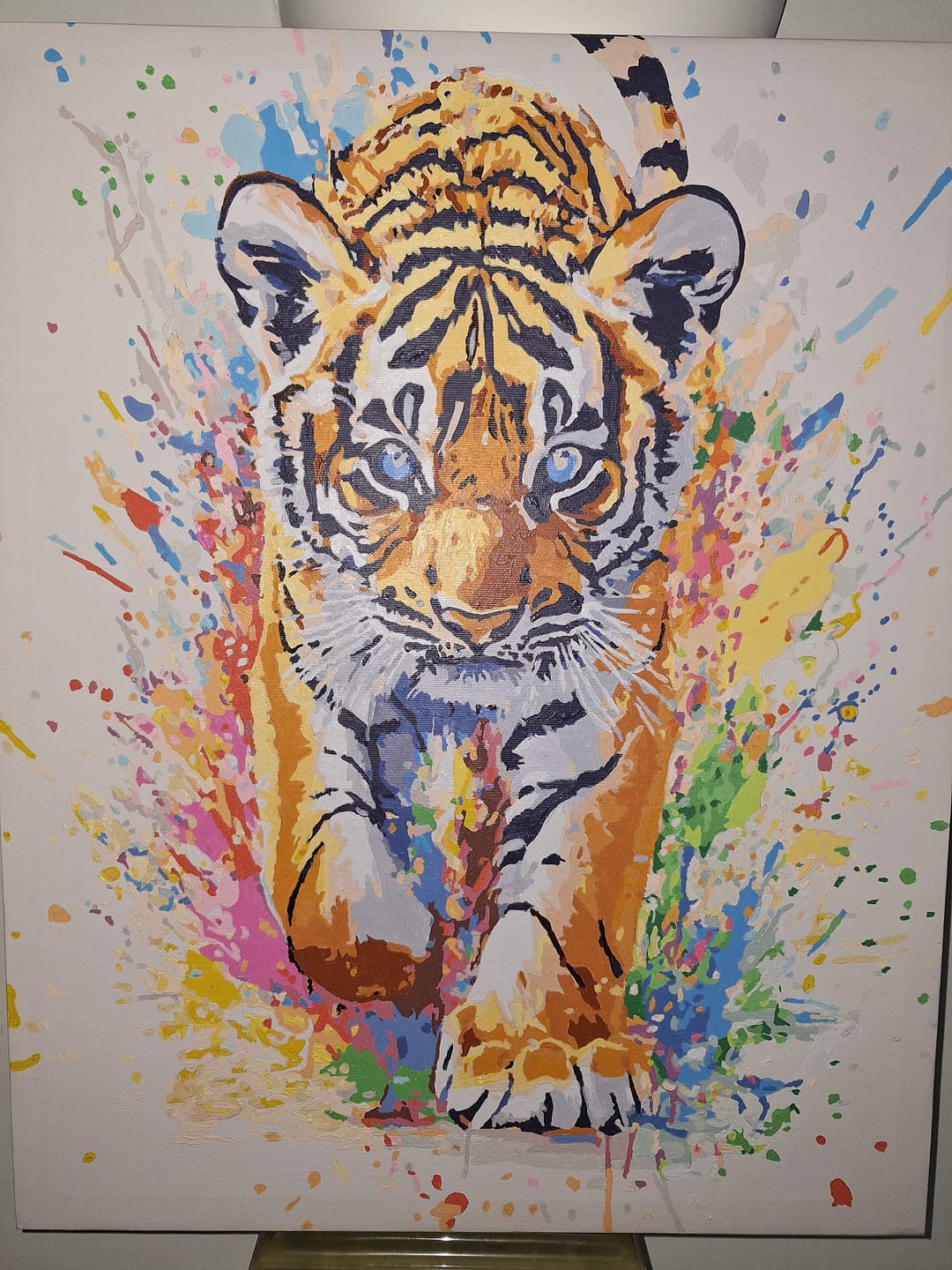 Customer photo review of Tiger Cub Splash