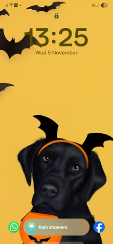 Customer photo review of Black Labrador Halloween Phone Wallpaper