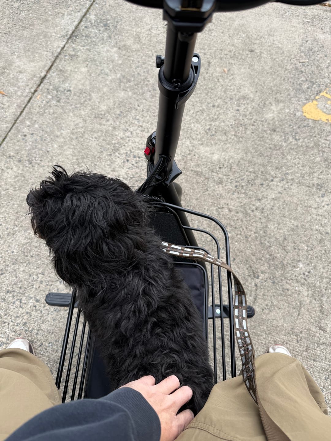 Customer photo review of Gyroor 1000W Foldable Electric Scooter – Seat, Dual Baskets, Long Range