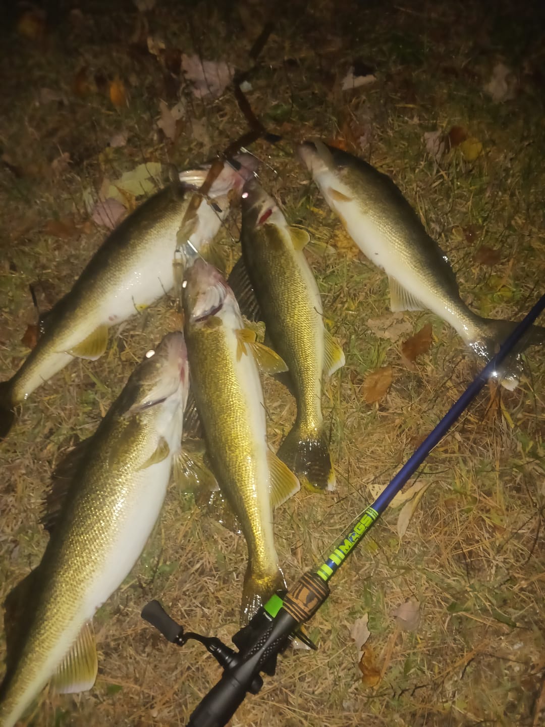 Customer photo review of Custom Spinning Rod