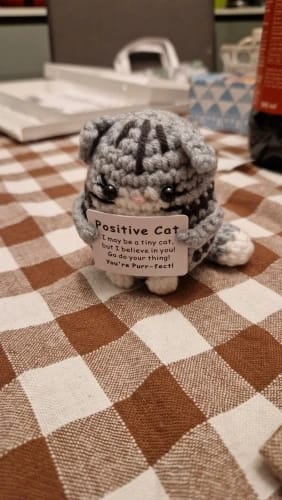 Customer photo review of 🎁 FREE - Handmade Crochet Positive Cat Nugget