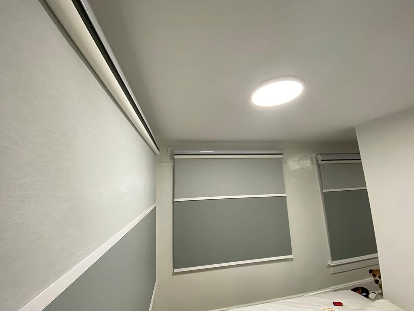Customer photo review of Bringnox Motorized Dual Shades