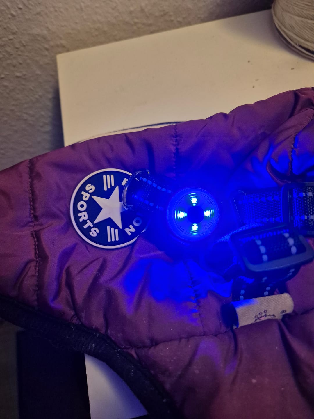 Customer photo review of Safety Light - 4-i-1 Lygte Til Hund