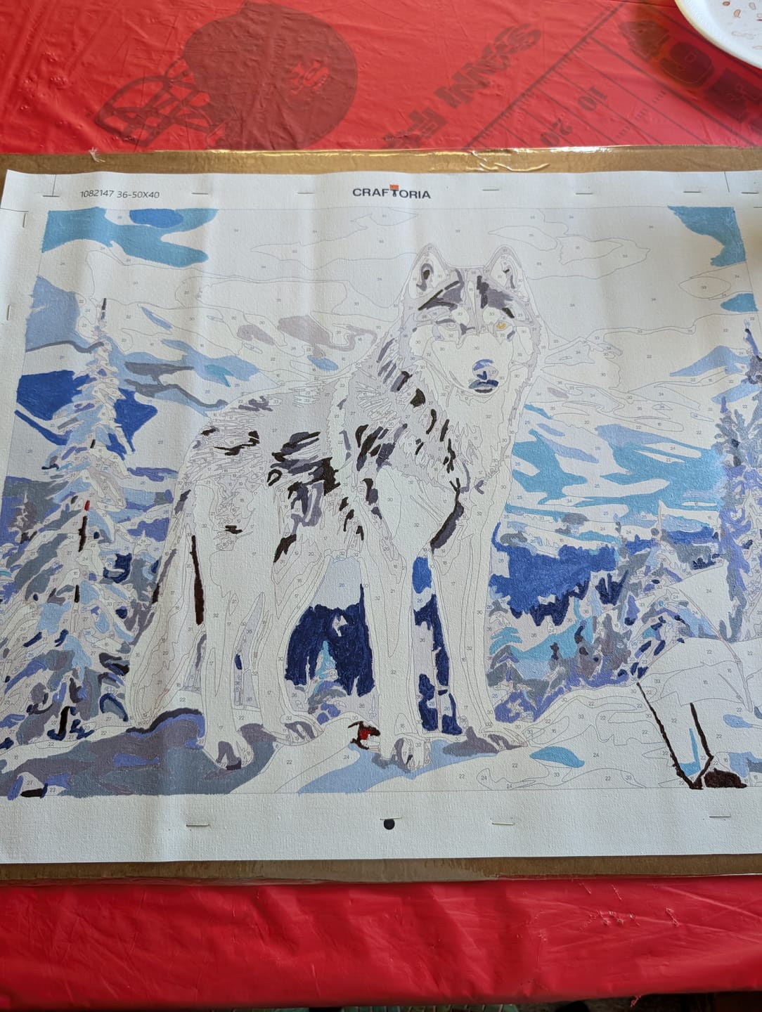 Customer photo review of Mountain Huskey