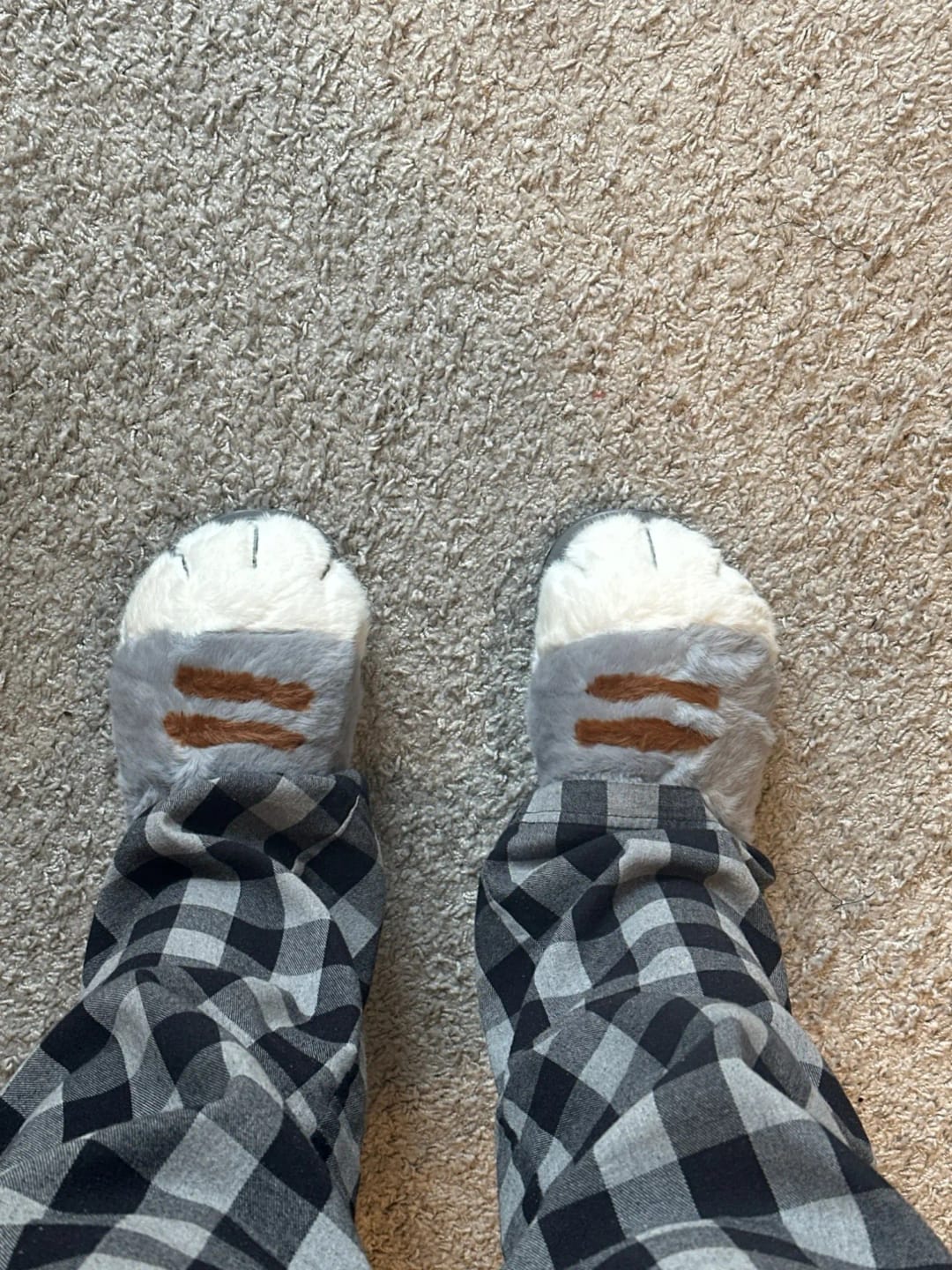 Customer photo review of Warm 3D Cat Paws Furry Slippers