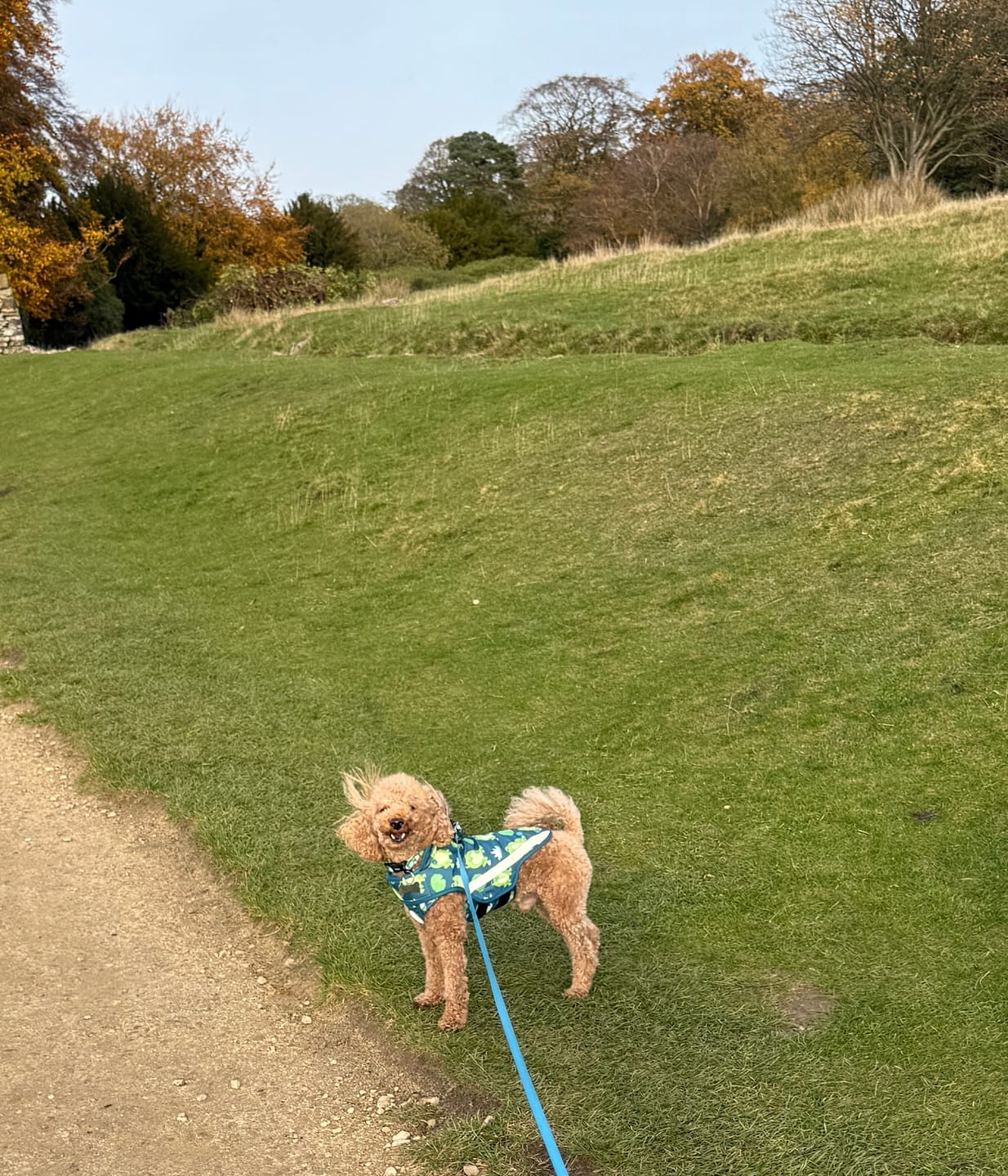 Customer photo review of Rain Jacket - Frogging Fabulous