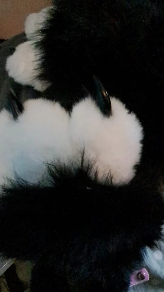 Customer photo review of Kigurumi Paws Squeaky Gloves