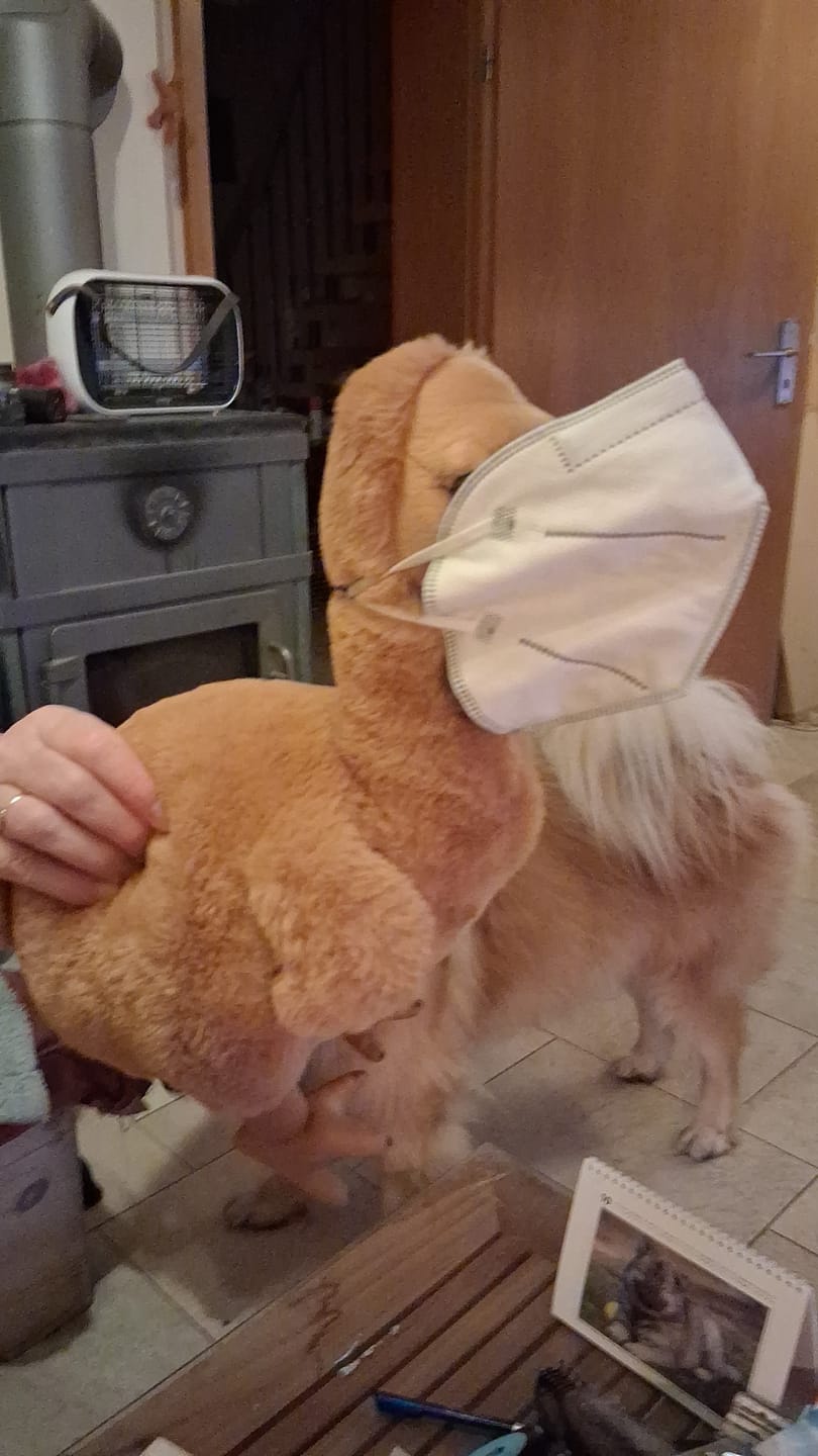 Customer photo review of Dodo Bird Soft Stuffed Plush Toy