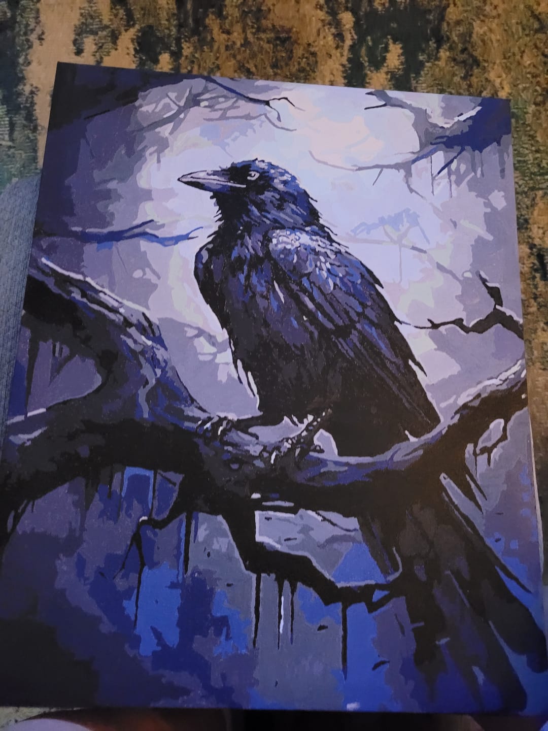 Customer photo review of Mysterious Raven