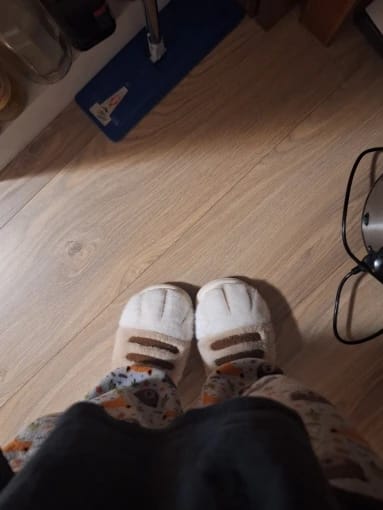 Customer photo review of Warm 3D Cat Paws Furry Slippers