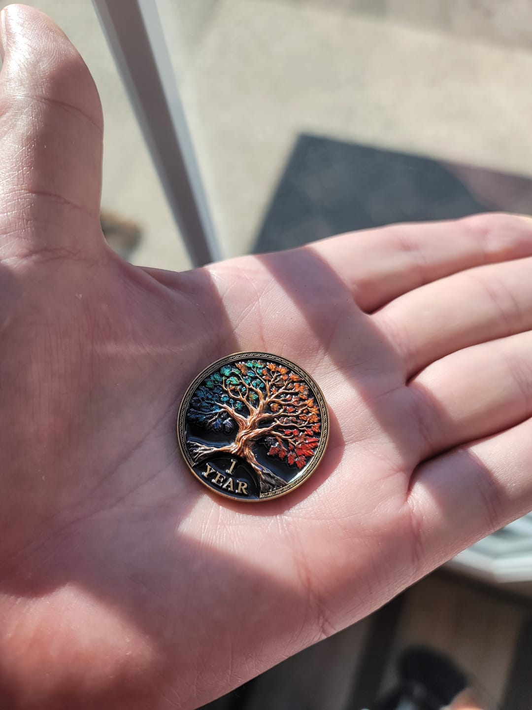 Customer photo review of Tree of Life Affirmation Sobriety Coin Gift Set - Multicolor