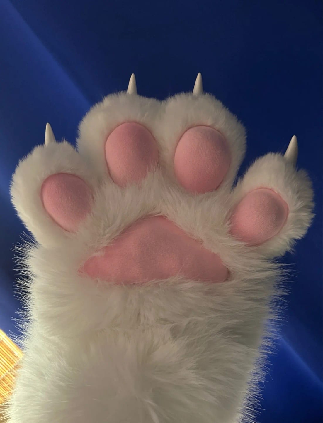 Customer photo review of Kigurumi Paws Squeaky Gloves