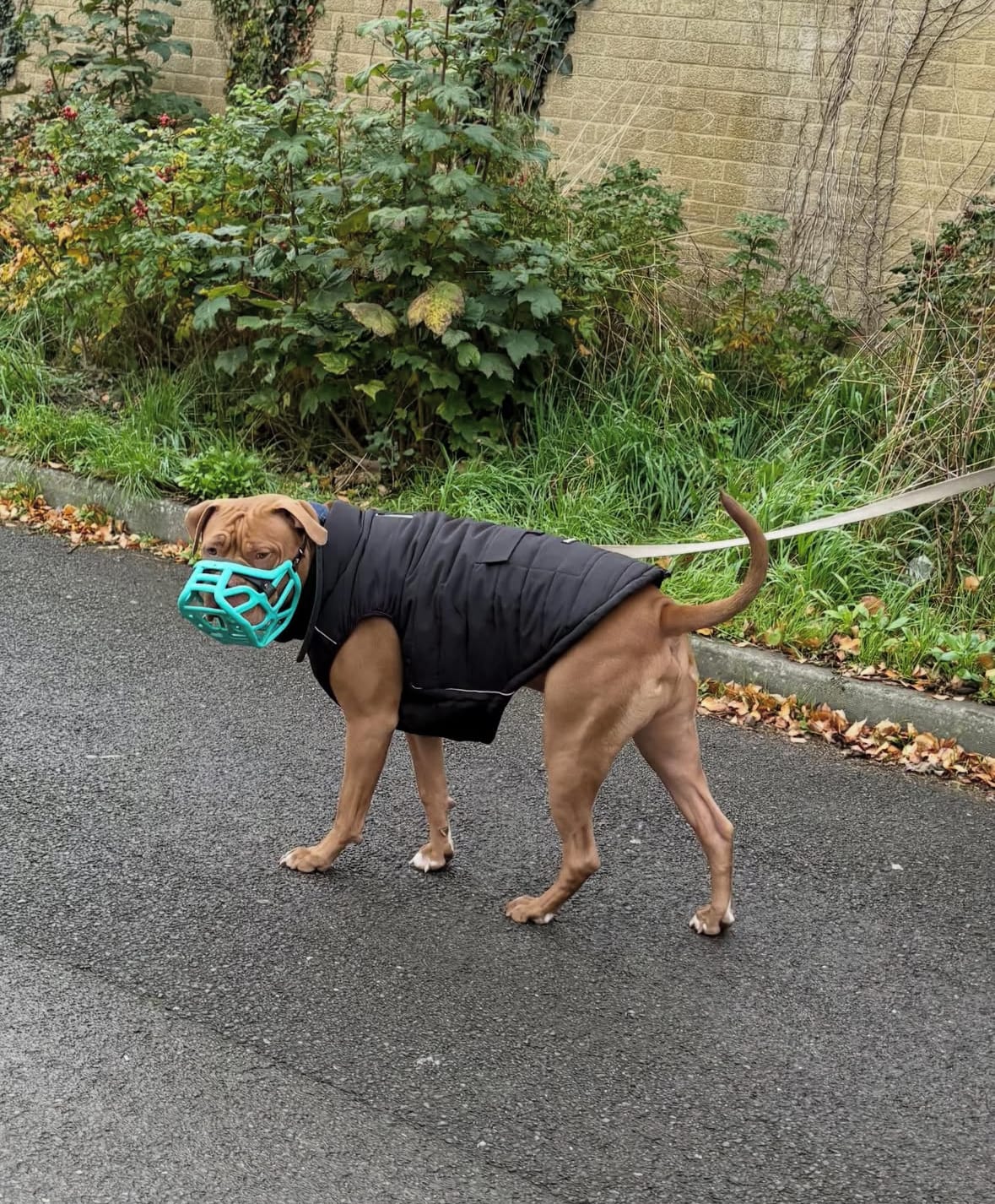 Customer photo review of WarmShield Water-Resistant Jacket - Black
