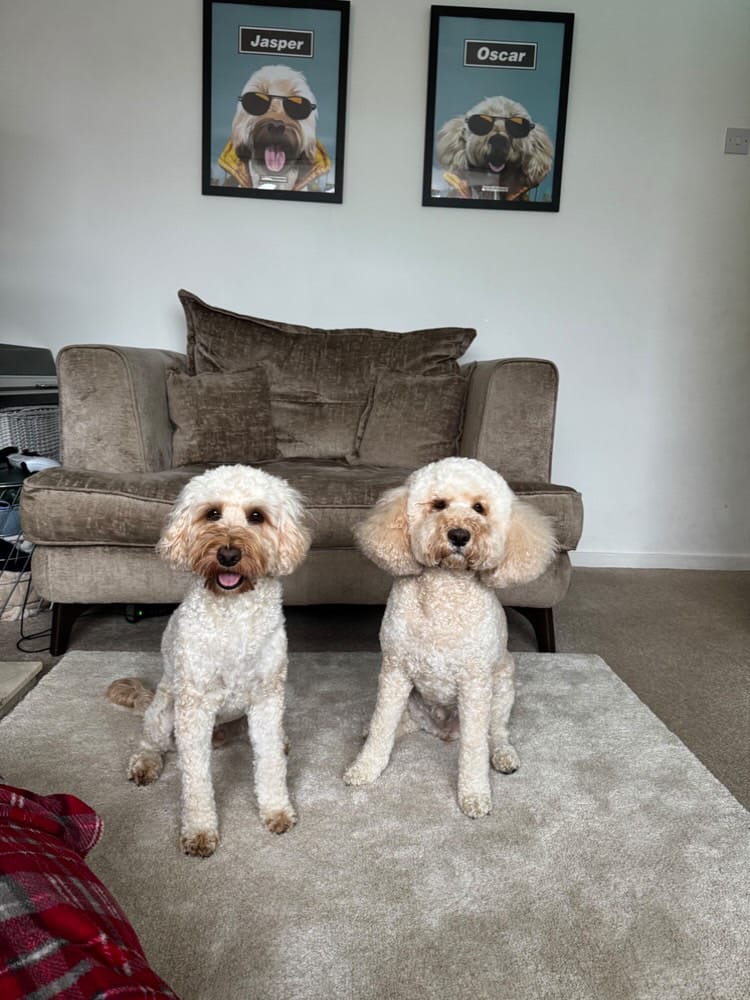 Customer photo review of Wonderwall Art Style