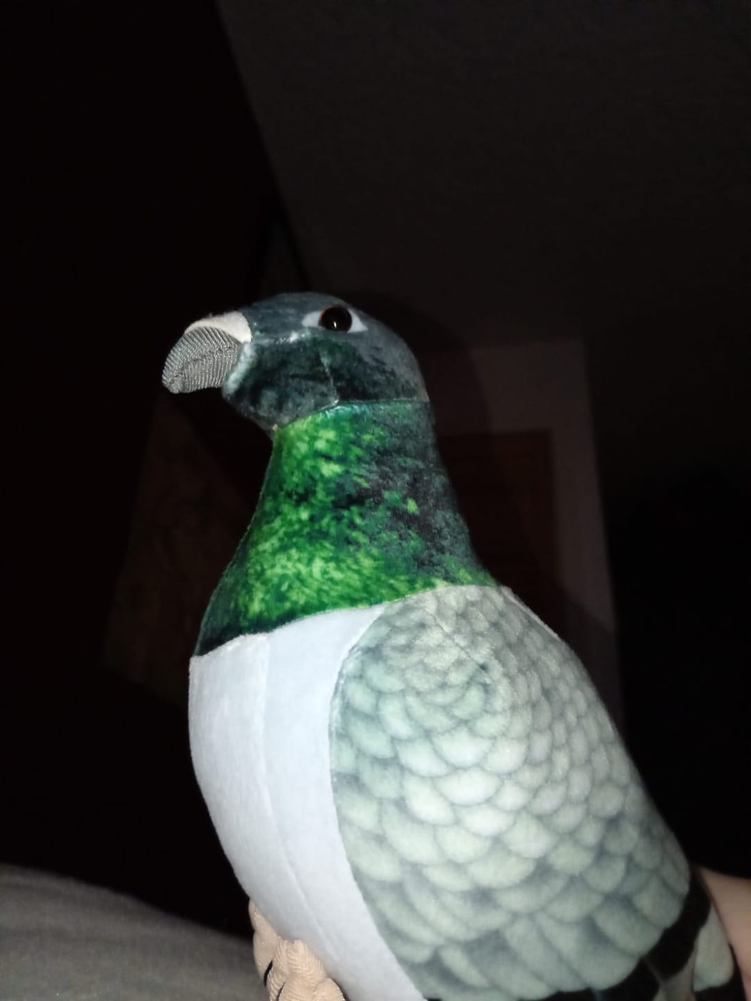 Customer photo review of Common Pigeon Bird Soft Stuffed Plush Toy