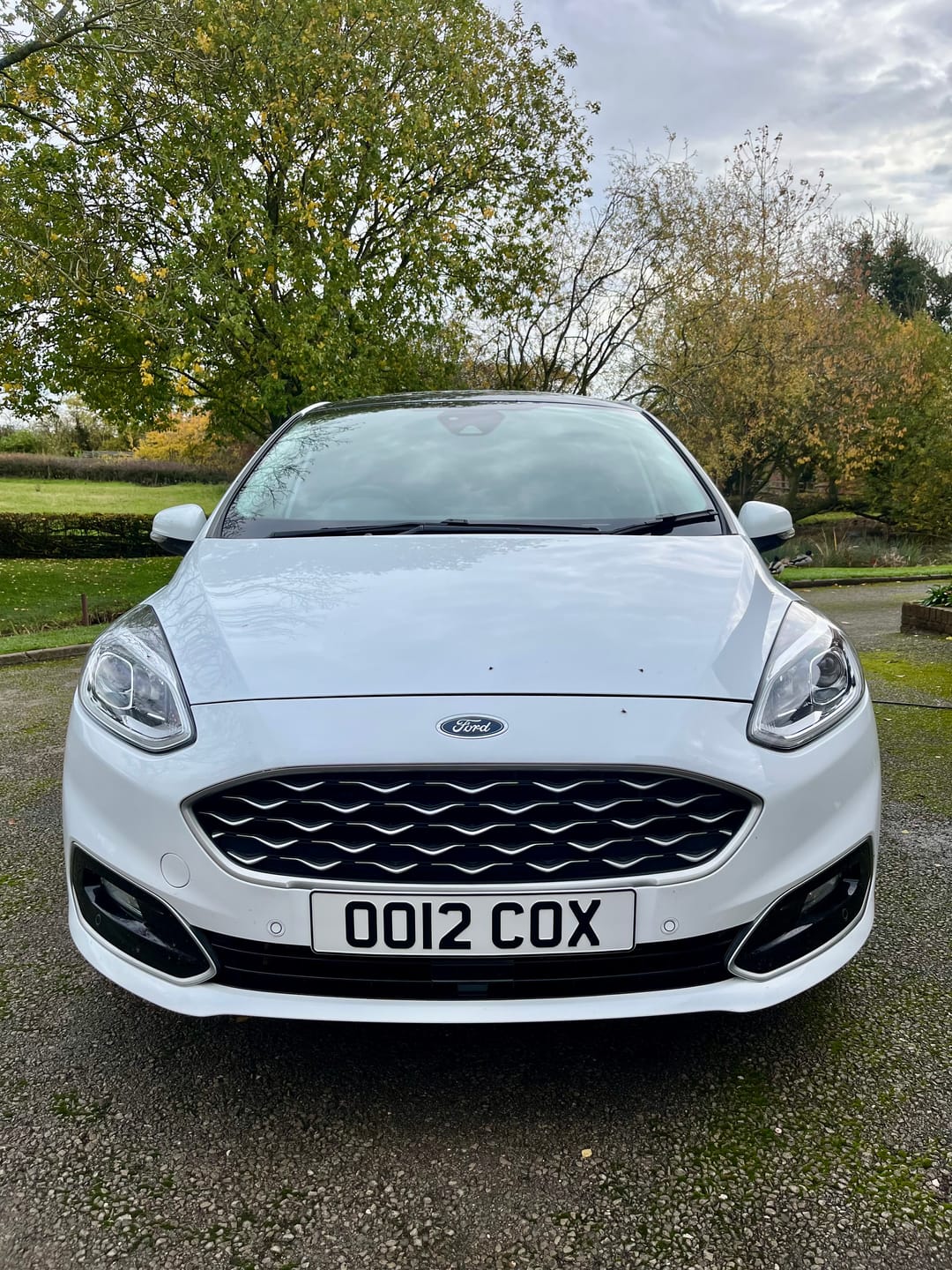 Customer photo review of Metal Pressed Number Plate (standard)- 520mm x 111mm