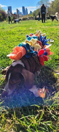Customer photo review of Wool Felt