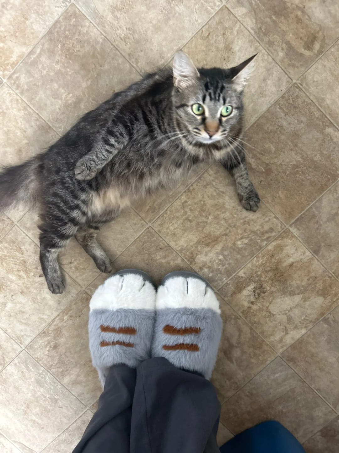 Customer photo review of Warm 3D Cat Paws Furry Slippers