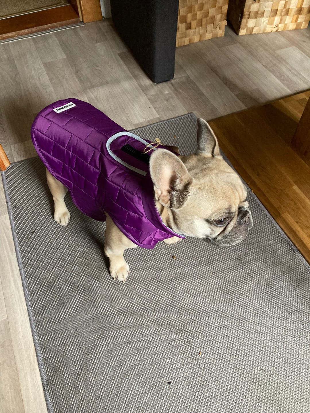 Customer photo review of Emmalove - Wasserdichte Hundeweste