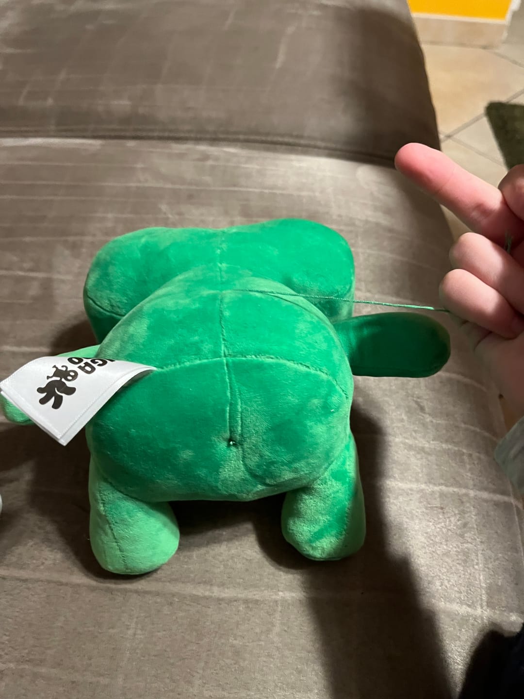 Customer photo review of Peluche Rupert + Albo Gioca e Colora!