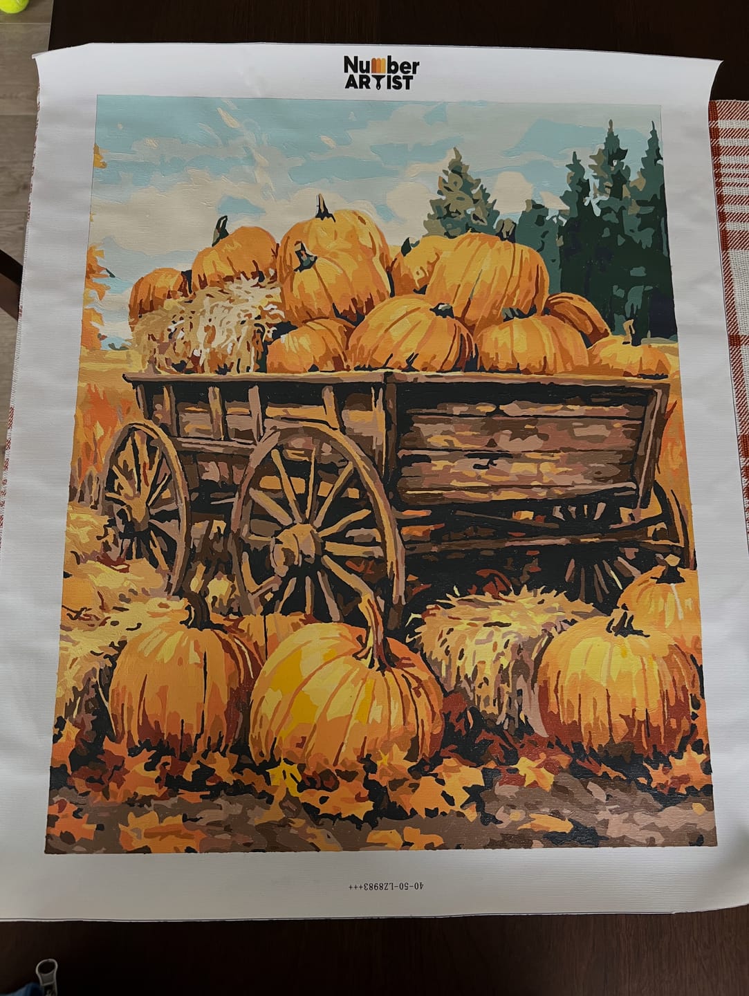 Customer photo review of Pumpkin Wagon