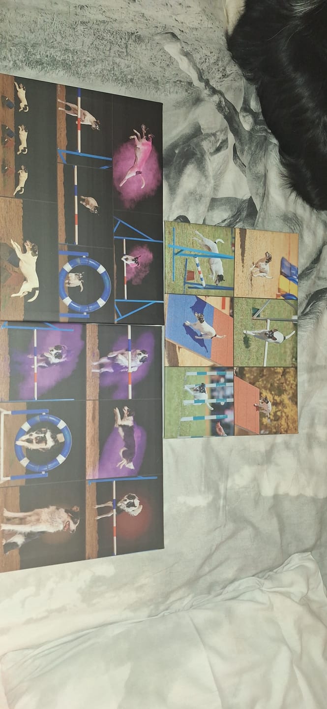 Customer photo review of 3 x A3 Canvas Combo