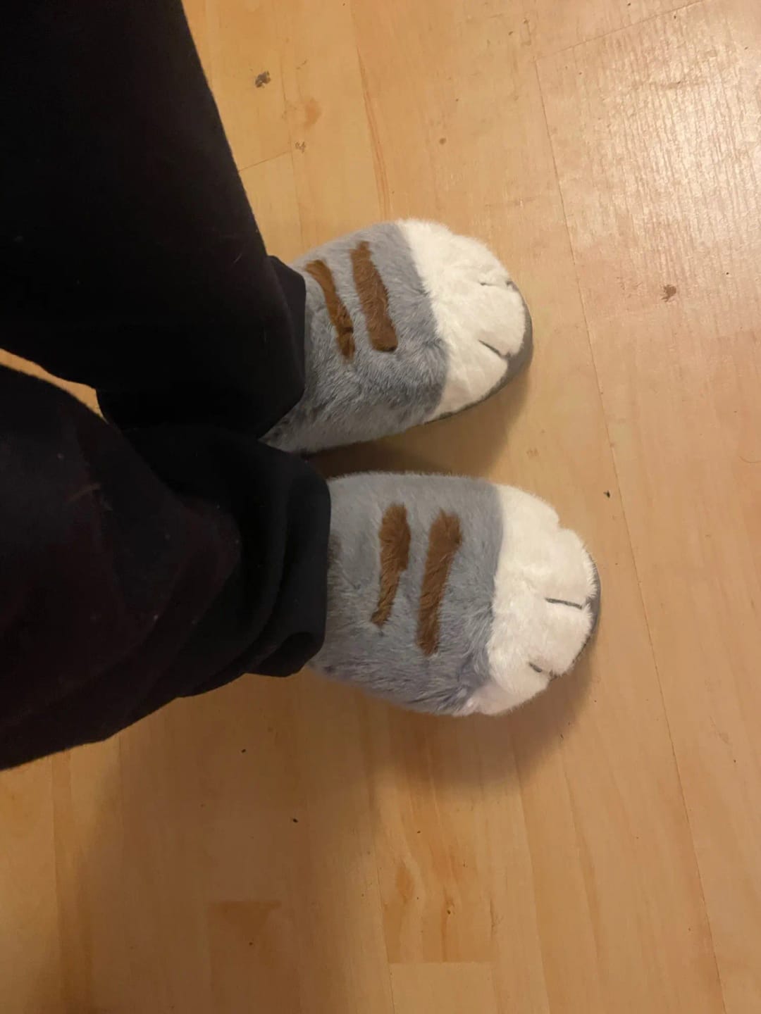 Customer photo review of Warm 3D Cat Paws Furry Slippers