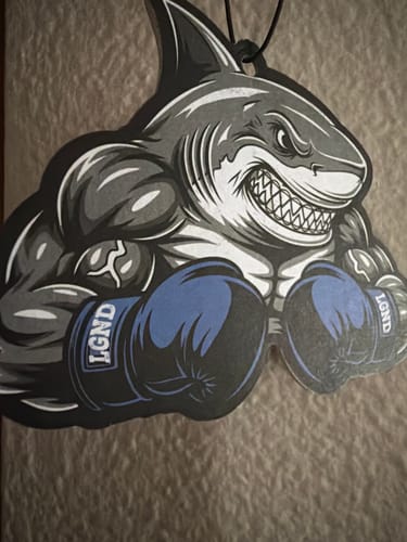 Customer photo review of Sea Breeze Air Freshener (2-Pack)