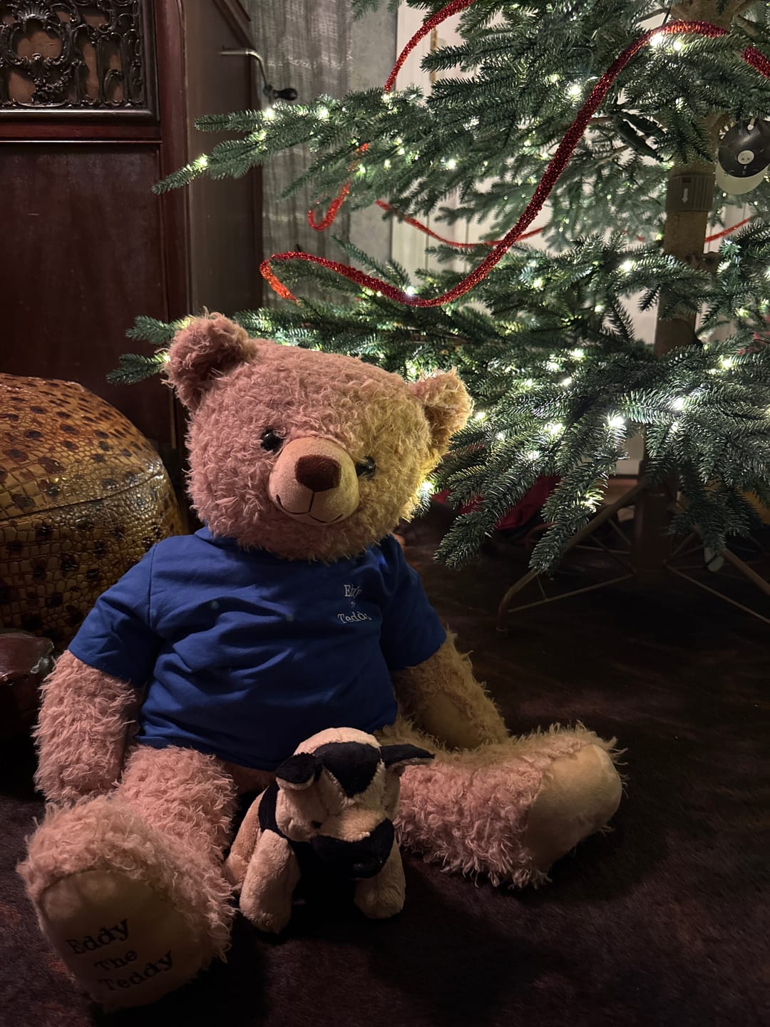 Customer photo review of 65cm Original Eddy the Teddy