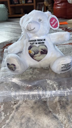 Customer photo review of A Cuddle from Heaven Personalised Photo Teddy Bear