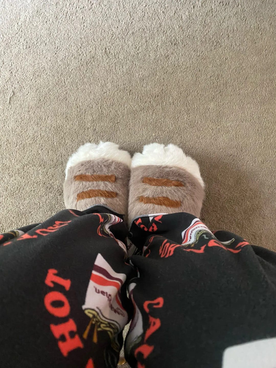 Customer photo review of Warm 3D Cat Paws Furry Slippers