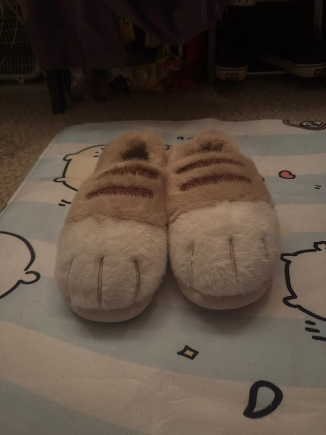 Customer photo review of Warm 3D Cat Paws Furry Slippers