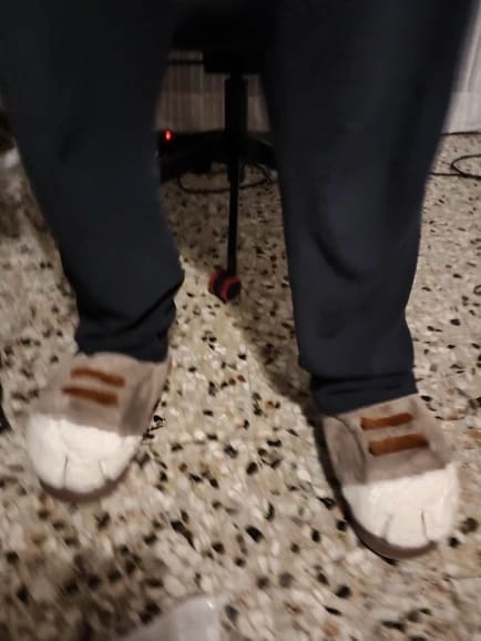 Customer photo review of Warm 3D Cat Paws Furry Slippers