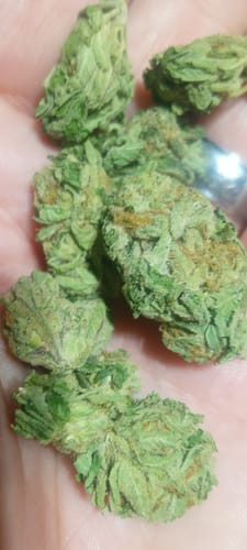 Customer photo review of Slurty Littles - Bulk Littles - Indica