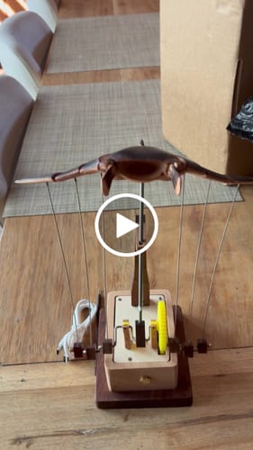 Customer video review of Handcrafted Wooden Manta Ray Automaton