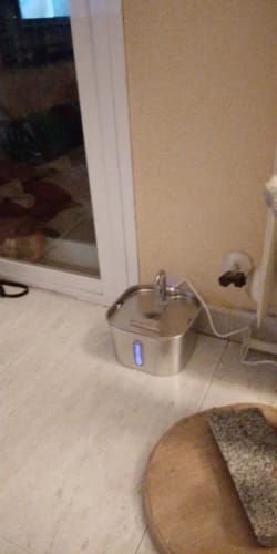 Customer photo review of HydraPurr - Katzenbrunnen aus Edelstahl