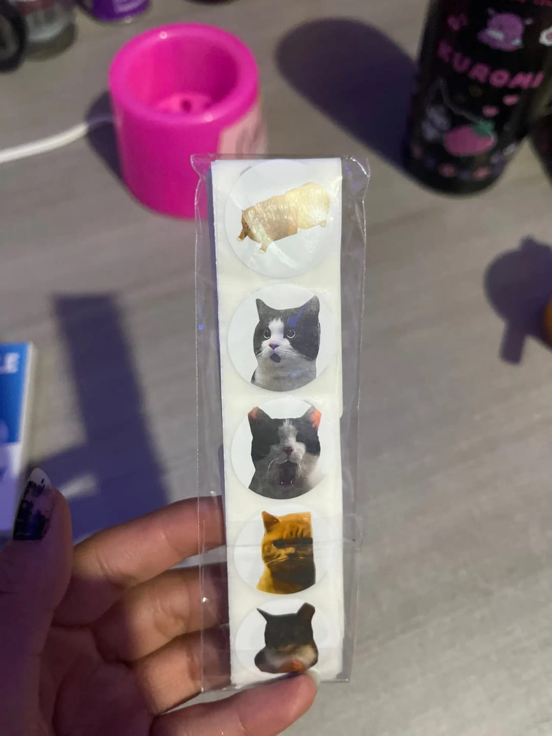 Customer photo review of Funny Cat Meme Stickers [500 Piece]