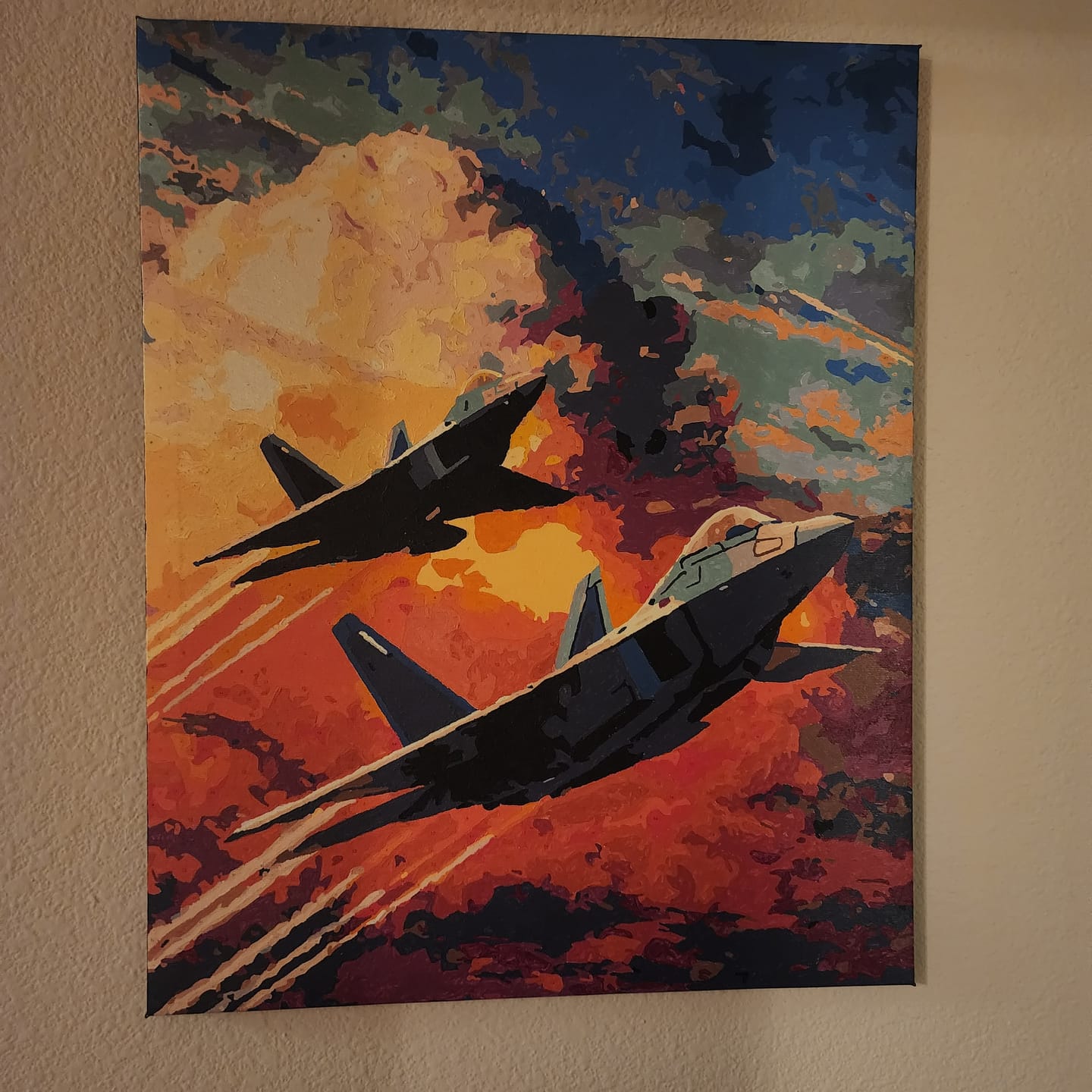 Customer photo review of Defenders of the Sky