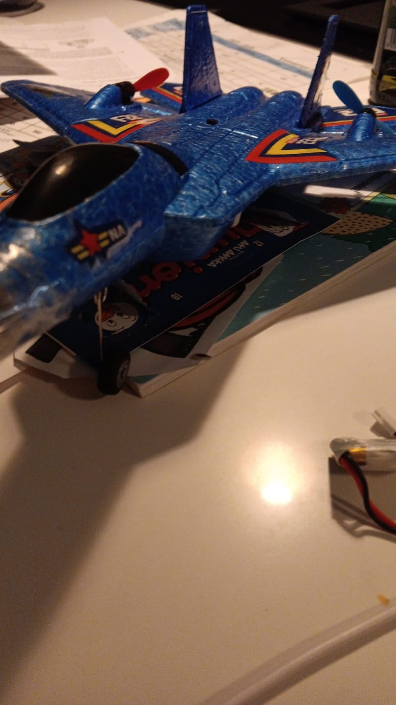Customer photo review of F-22 Spartacus RC Fighter Jet