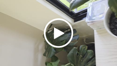 Customer video review of M1 Music Frame CD Player