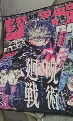 Matthew R. review of Gojo Rug image 1 out of 1