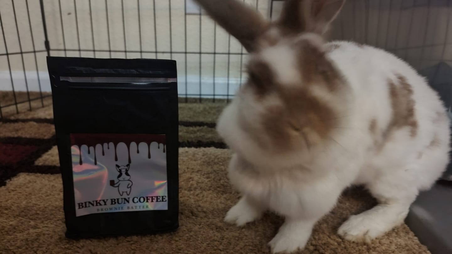 Customer photo review of Brownie Batter (Bean)