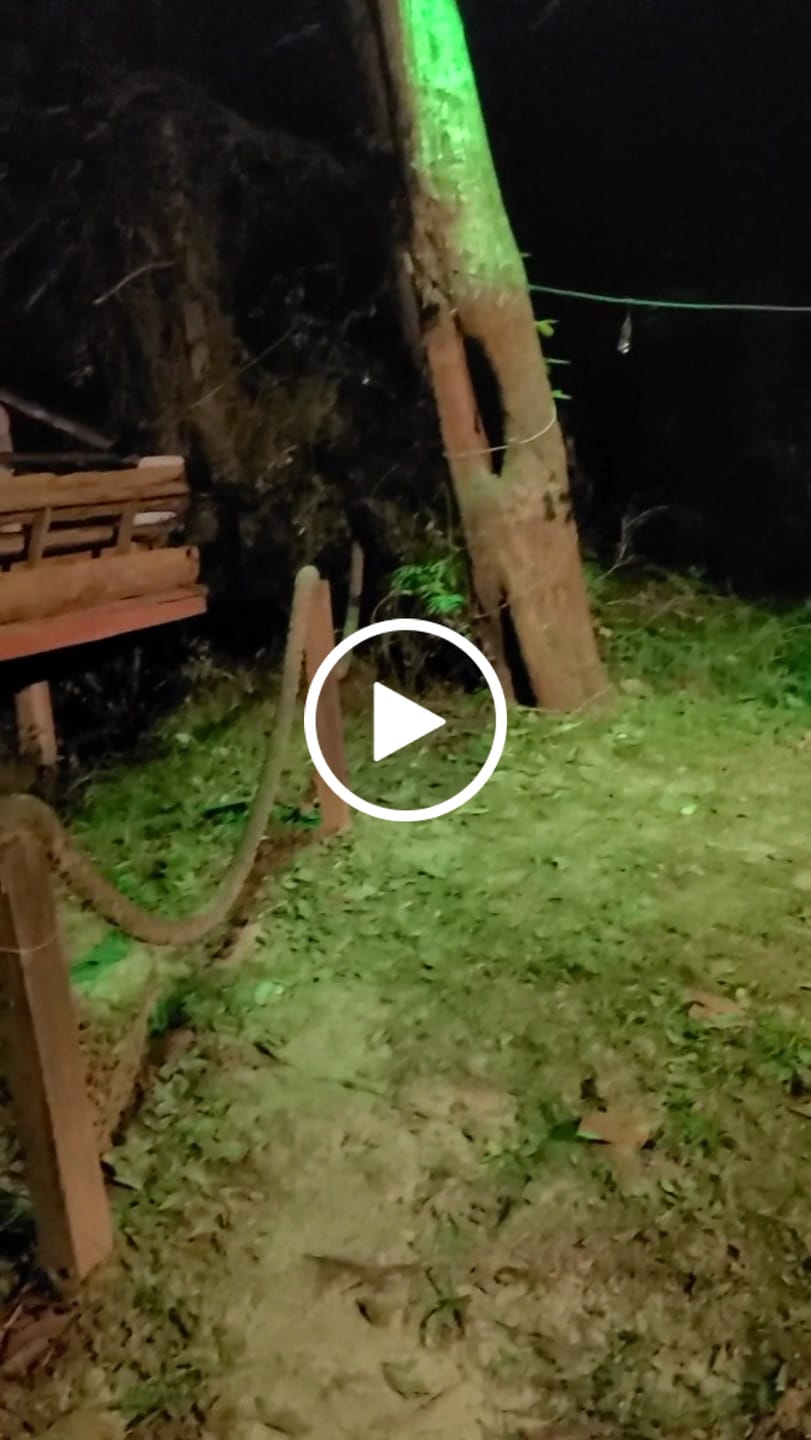 Customer video review of Solar Green Feeder Light for Hunting -10,000 lumens (2 Pack)