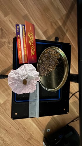 Valentin L. review of CHARAS THC-A Hash image 1 out of 1