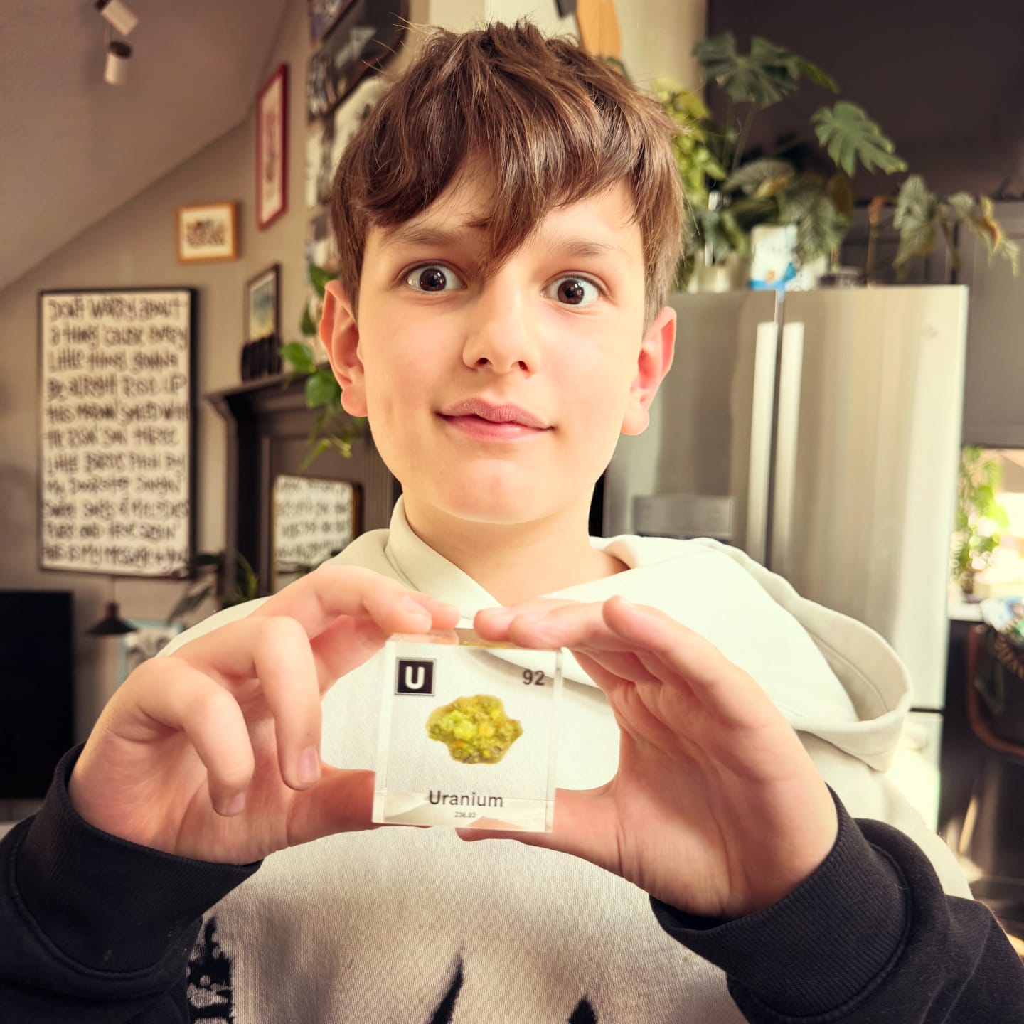 Customer photo review of Element Cube Subscription
