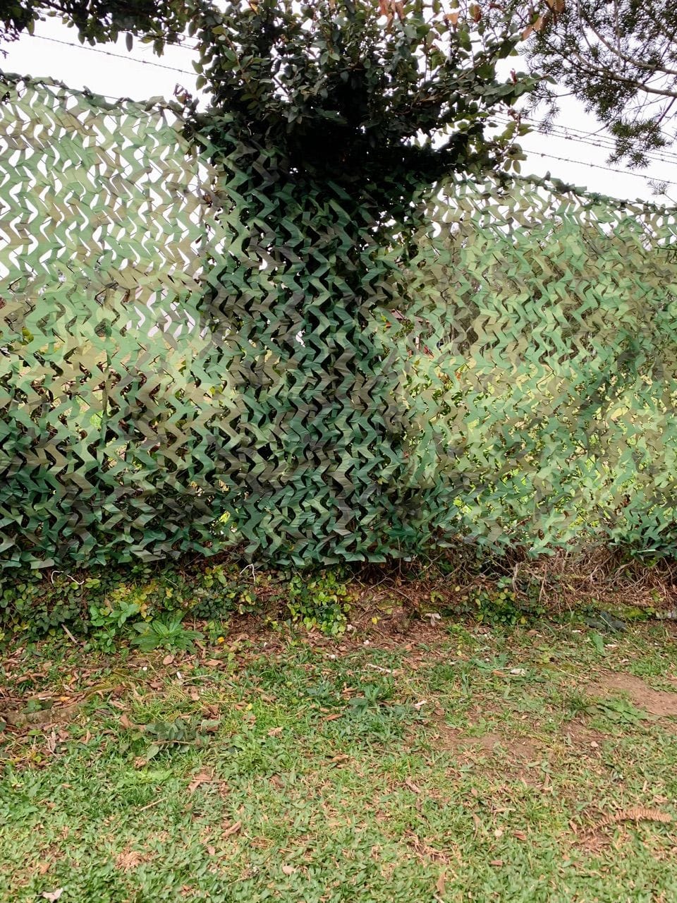 Customer photo review of Rede Camuflada Militar para Decoração de Jardim