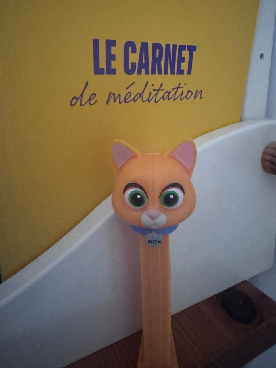 Customer photo review of Carnet de Méditation