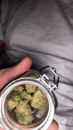 Customer photo review of Gorilla Glue THCA Flower