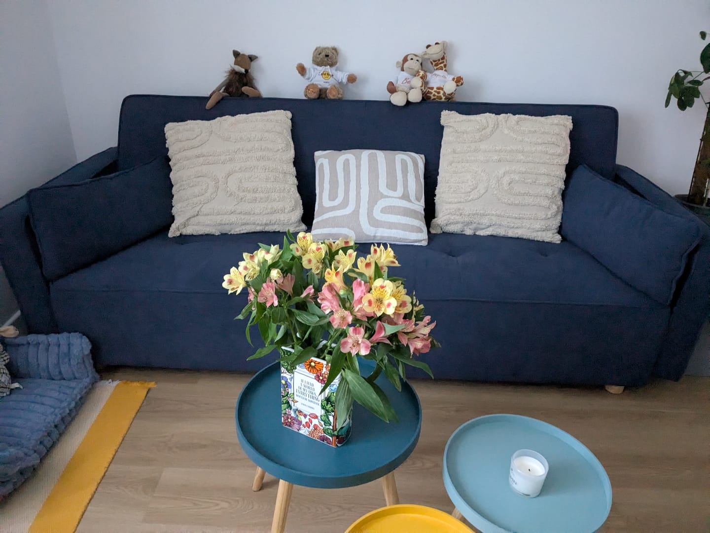 Customer photo review of COPENHAGUE VELOURS CÔTELÉ
