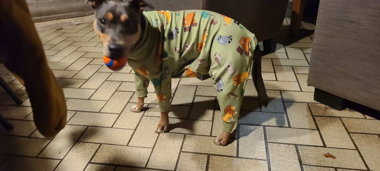 Customer photo review of Dog Pajama - Alien